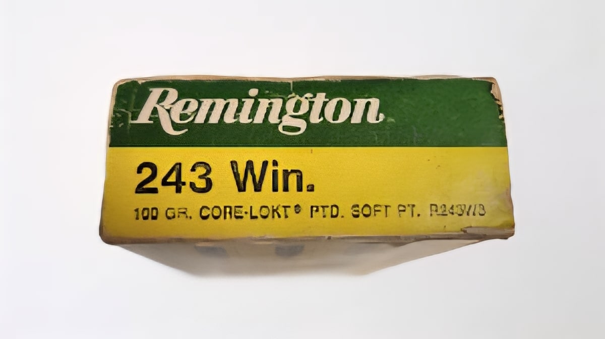 Winchester .243 Winchester 100gr SP – 20rd