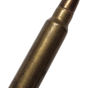 Collector Grade Ammo Single: .300 Savage Remington